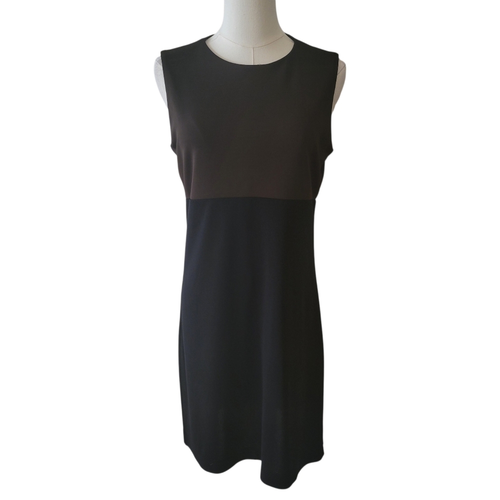 Banana Republic Brown & Black Colorblock Shift Dress Size 8